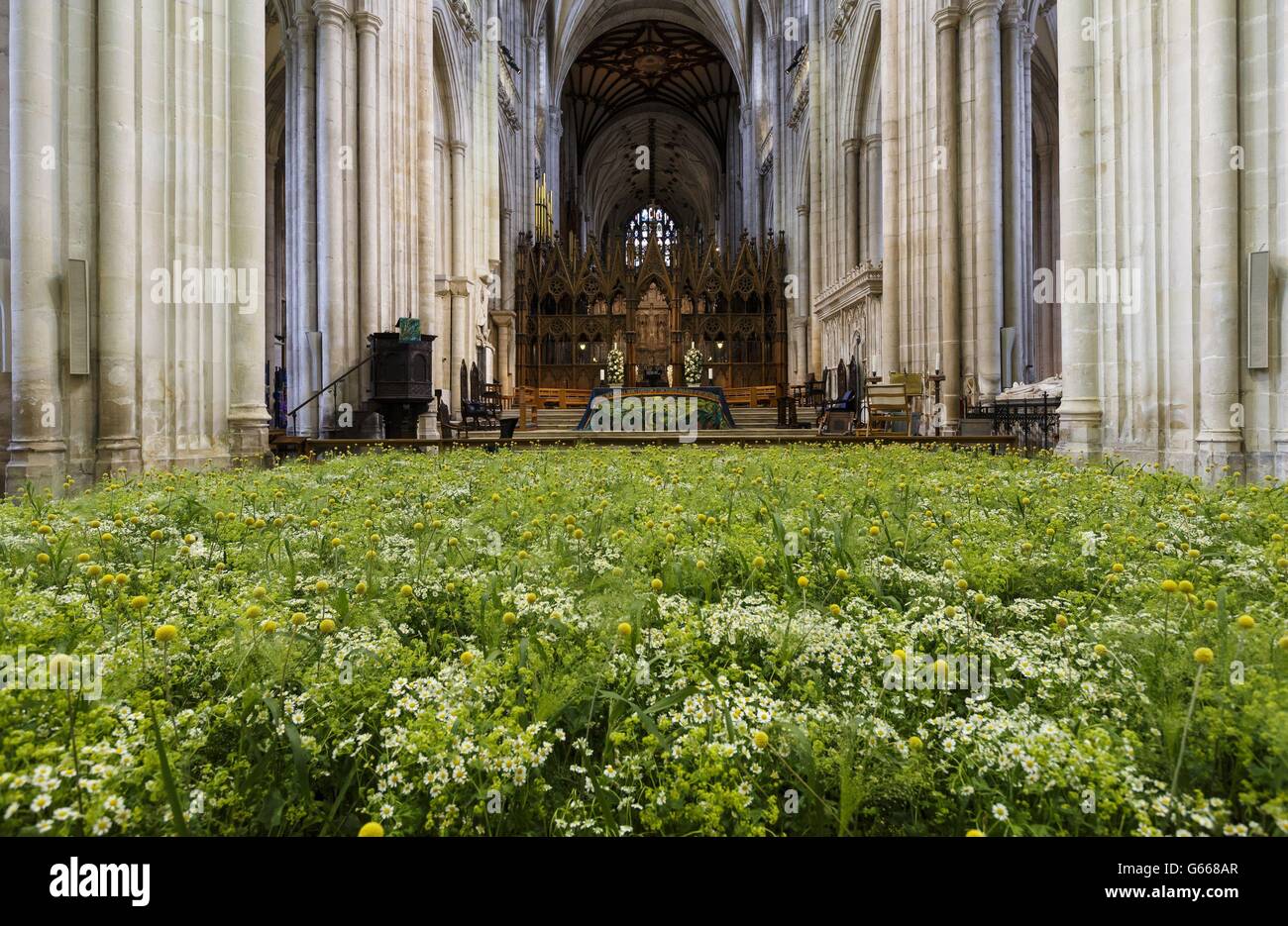 La sinfonia del Festival dei Fiori Foto Stock