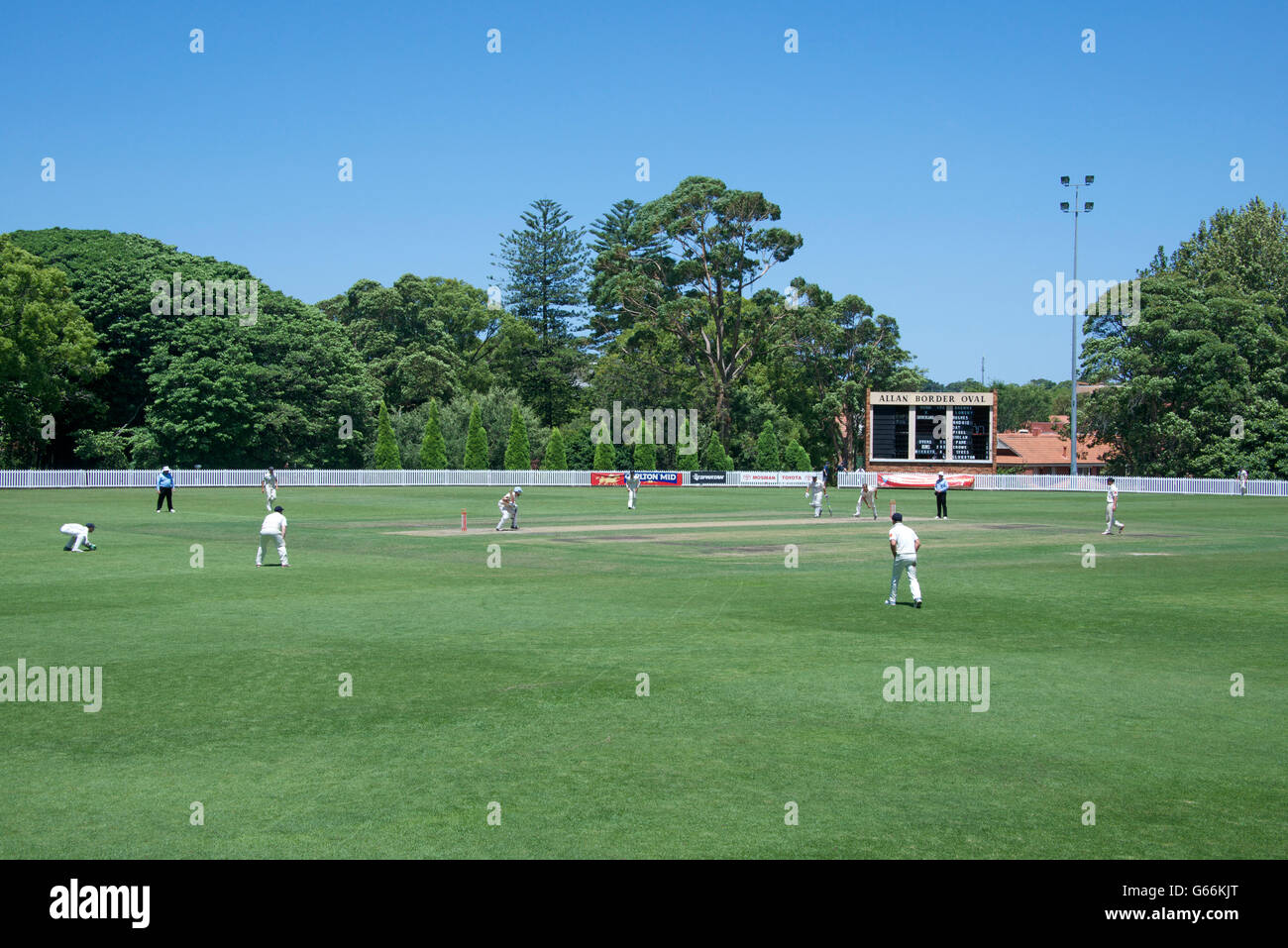 Partita di cricket Alan ovale di confine Mosman NSW Sydney Australia Foto Stock