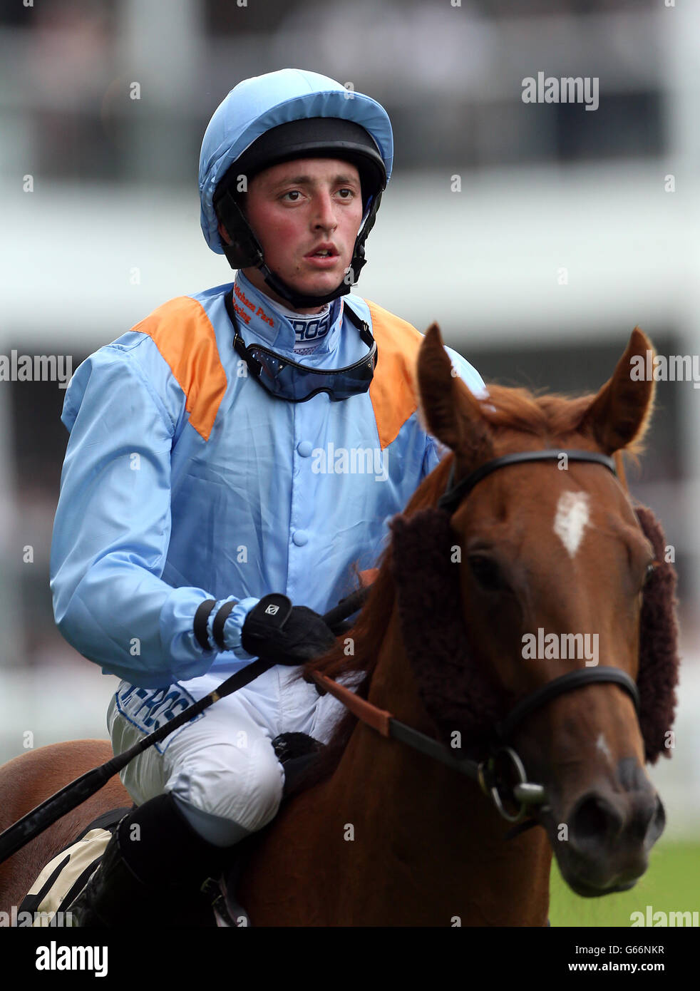 Ventura Mist guidato da Duran Fentiman prima di correre nella Regina Mary Stakes durante il secondo giorno del Royal Ascot riunione all'Ippodromo di Ascot, Berkshire. Foto Stock