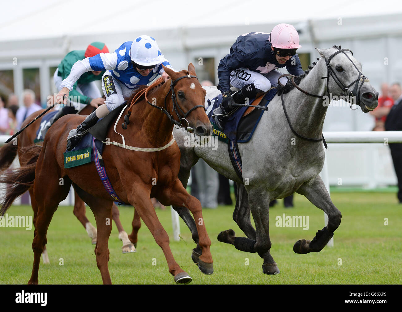 Horse Racing - John Smiths Northumberland giorno piastra 2013 - Newcastle Racecourse Foto Stock