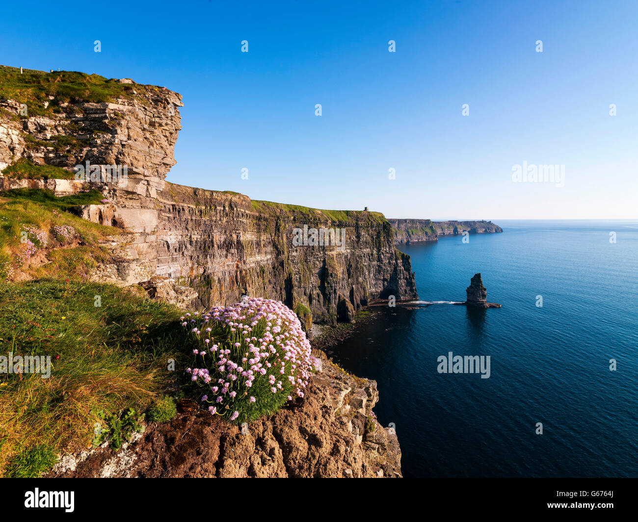 Scogliere di Moher Clare Irlanda Wild modo atlantico Foto Stock