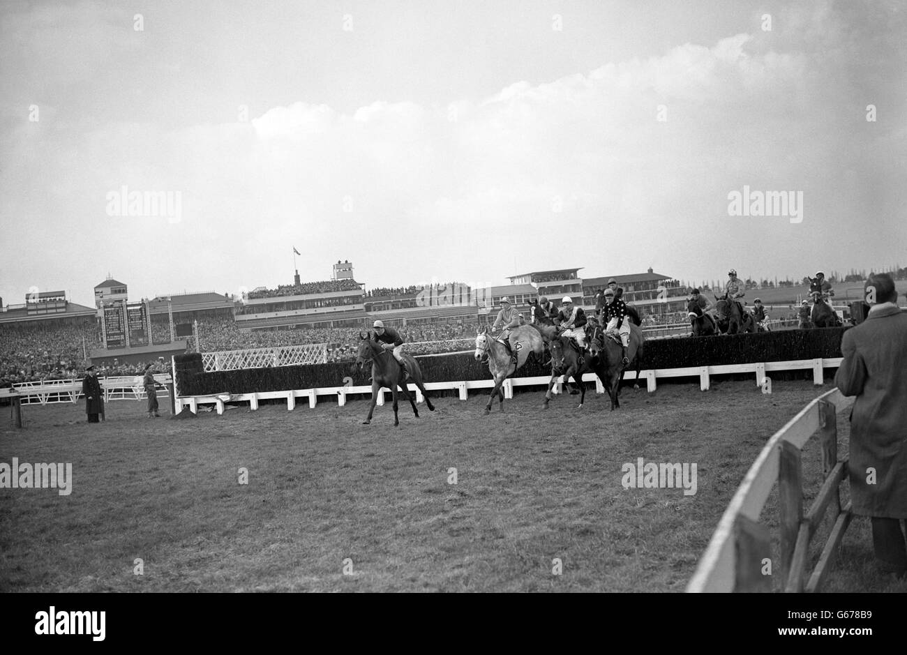 Azione dalla seconda recinzione durante la Steeplechase dei Broadway Novices. (l-r) 'Just Awake', vincitore finale, di proprietà di W H Whitbread con Arthur Freeman UP, 'Shah Perle', D Leslie UP, 'Famous Knight', V Speck UP, e 'Fun' con e Mumford UP. Foto Stock