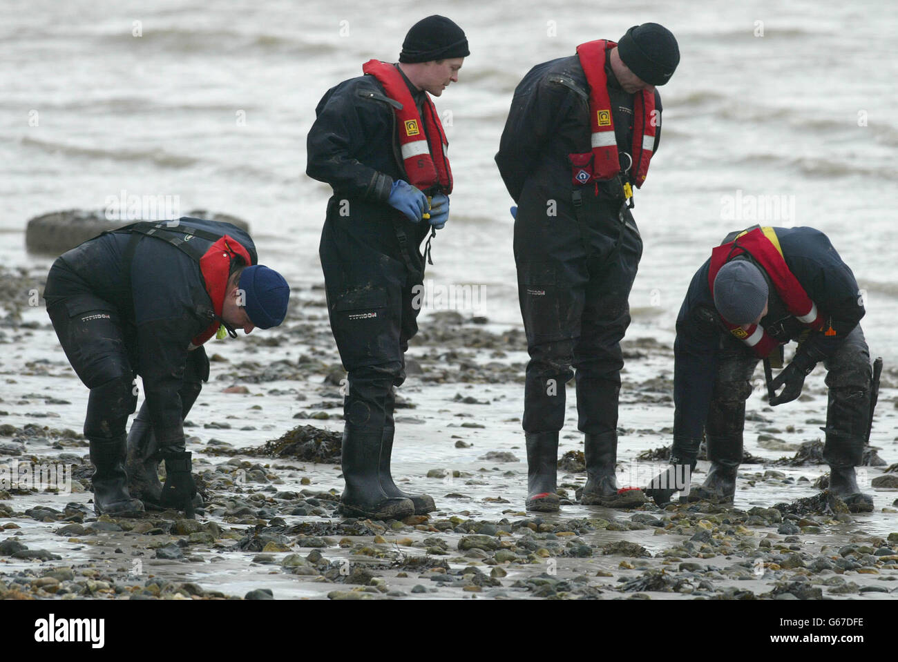 Ossa trovato sulla spiaggia di Southampton Foto Stock