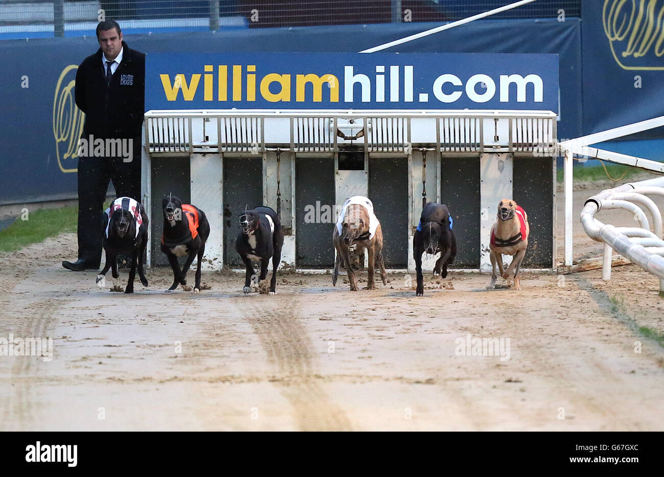 Droopys Jet (seconda a destra) esce dal cancello di partenza sulla strada per vincere la William Hill Greyhound Derby - 1st semi-finale Foto Stock