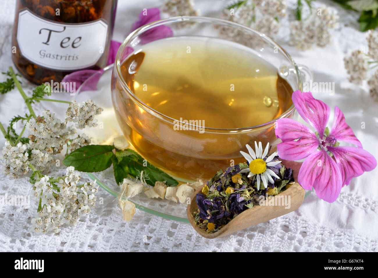 La menta piperita, dolce infestante, Marshmallow foglia, radice di malvone, Achillea, Malva foglia, Malva, comune matricaria recutita / (Malva Sylvestris), Achillea millefolium), (Mentha piperita), (Althaea officinalis) / camomilla, camomilla, Chamomille, camomilla annuale, blu camomilla, comune camomilla, dolce camomilla, della camomilla selvaggia, camomilla selvaggia, camomilla tedesca Foto Stock