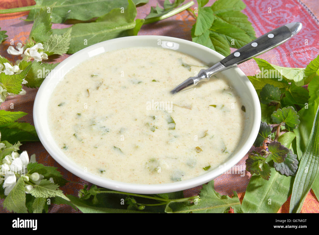 Erbe selvatiche zuppa, comune di ortica, ashweed, buckhorn, starweed, il simbolo del fiocco di neve, Tarassaco, massa ivy, ramson, comune sorrel / (Urtica dioica, Aegopodium podagraria, planzago lanceolata, Stellaria media, Lamium album, Taraxacum officinale, Glechoma hederacea, tutti Foto Stock
