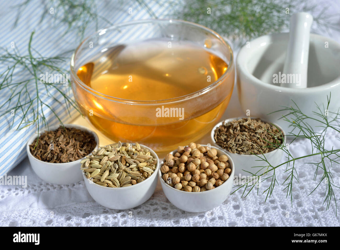 Tazza di tè con anice, finocchio, annuale del cumino, coriandolo Semi / (Pimpinella anisum, Foeniculum vulgare, Carum carvi, Coriandrum sativum) Foto Stock