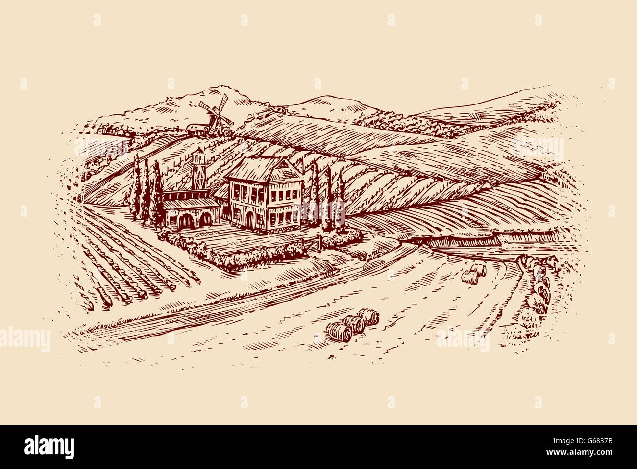 L'Italia. Paesaggio italiano. Mano-bozzetto vigna vintage, farm. Illustrazione Vettoriale Illustrazione Vettoriale