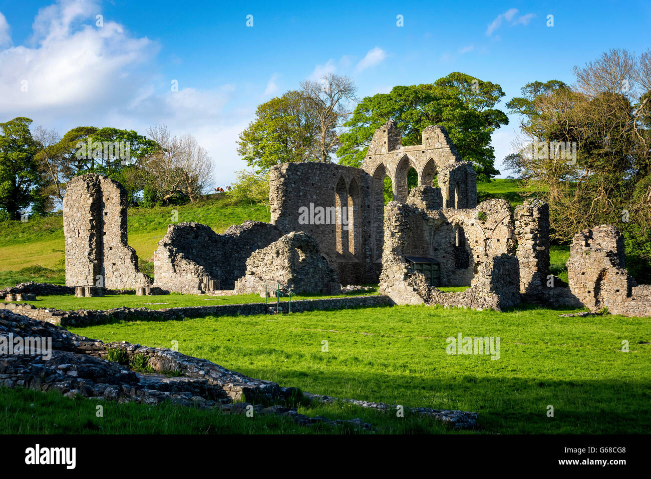 Inch Abbey,Downpatrick, Co. Down, Irlanda del Nord Foto Stock