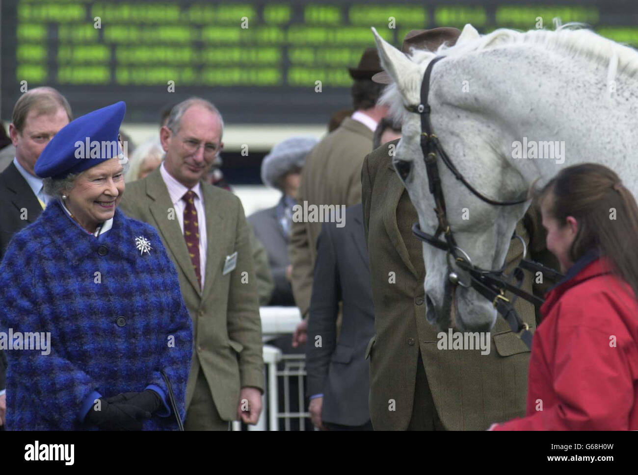 La regina incontra l'ex vincitore della Gold Cup Desert Orchid dopo aver svelato un busto di bronzo della Regina Madre all'ippodromo di Cheltenham. E' la prima volta in più di 50 anni che la Regina ha partecipato all'ippodromo il giorno della Gold Cup. Foto Stock