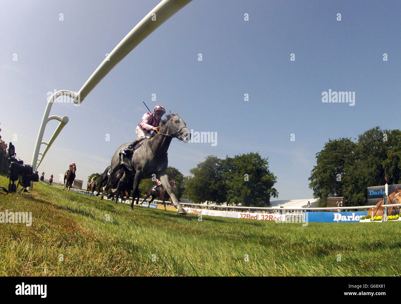 Horse Racing 2013 - 2013 Piper-Heidsieck Luglio Festival - Darley luglio giornata di coppa - Newmarket Racecourse Foto Stock