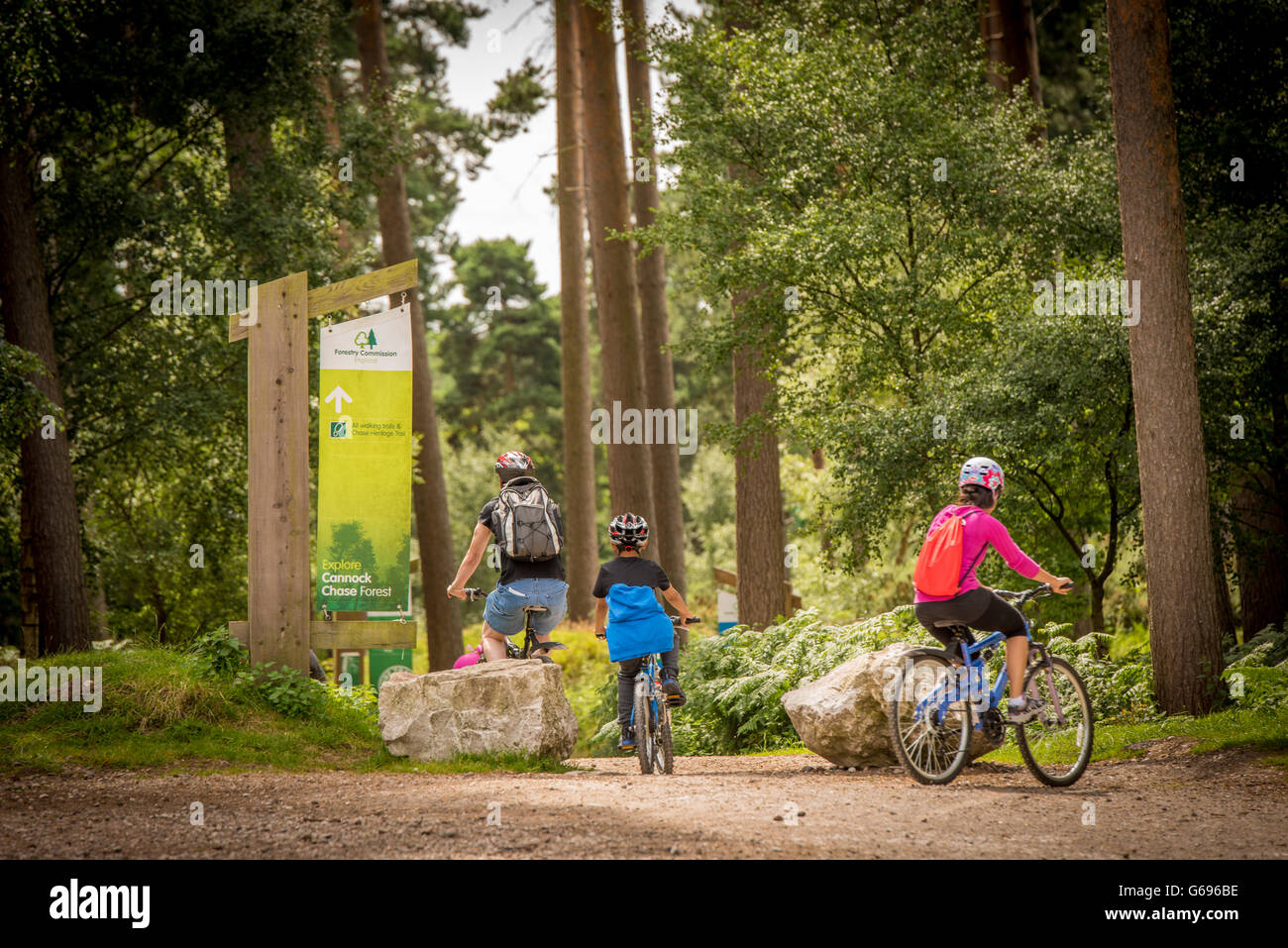 Una famiglia cavalcare le loro mountain bike attraverso il bosco in una giornata di sole Foto Stock