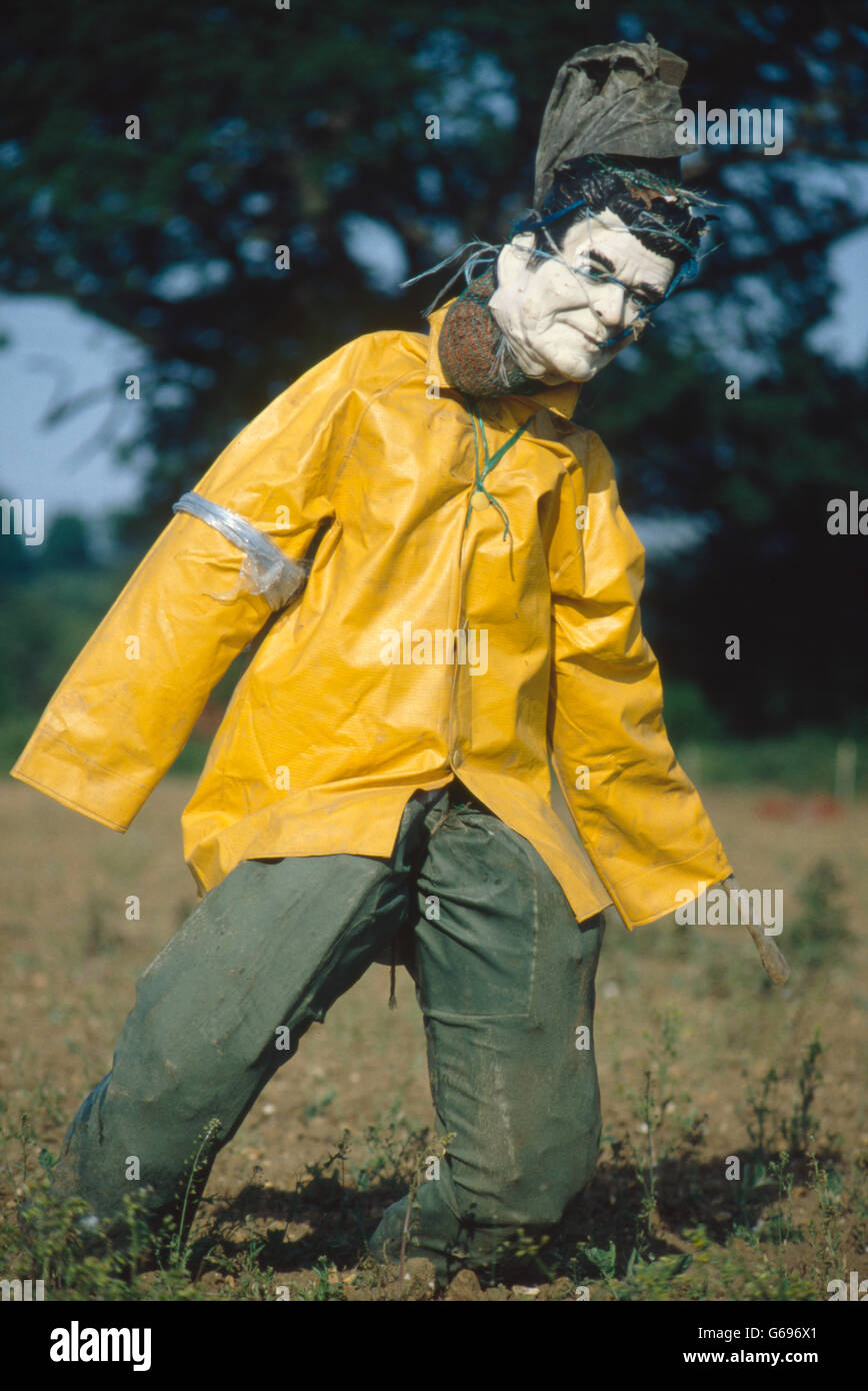 Lo Spaventapasseri in inglese il paesaggio da Colin Garratt Foto Stock