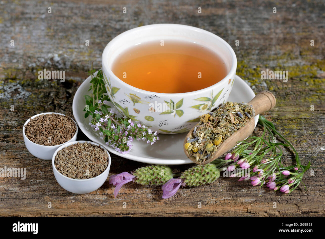 Il tè di stomaco, anice, beato thistle, comune centaury, camomilla, di latifoglie, timo cumino, lavanda / (Cnicus benedictus, Centaurium erythraea, Matricaria chamomilla, Thymus pulegioides, Carum carvi, Pimpinella anisum, Lavandula angustifolia Foto Stock