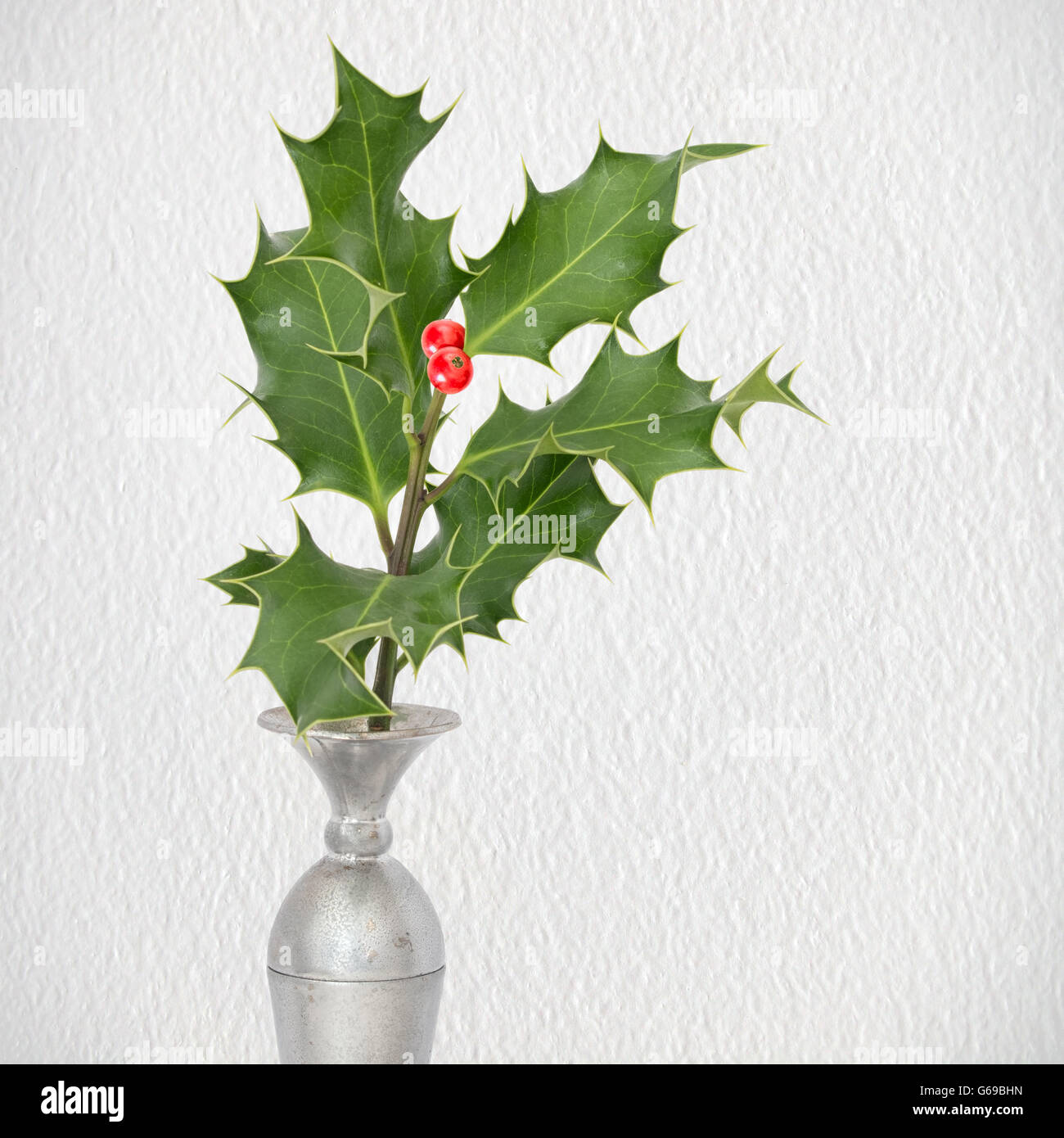 Decorazione di festa. Holly in vaso, parete testurizzata sfondo. Foto Stock