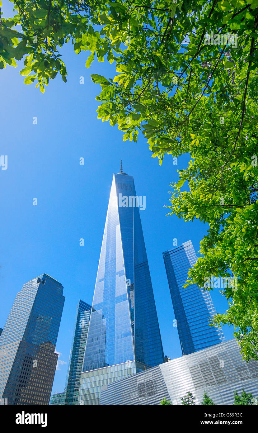 La libertà Torre del World Trade Center con alberi in fiore Foto Stock