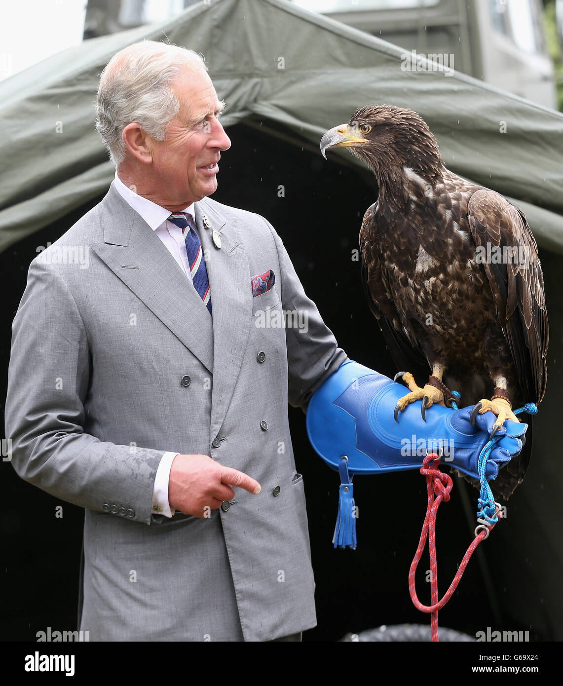 Il Principe del Galles detiene un'aquila calva chiamata Zephyr durante una visita al 132° spettacolo di fiori di Sandringham alla Sandringham House di Norfolk. Foto Stock