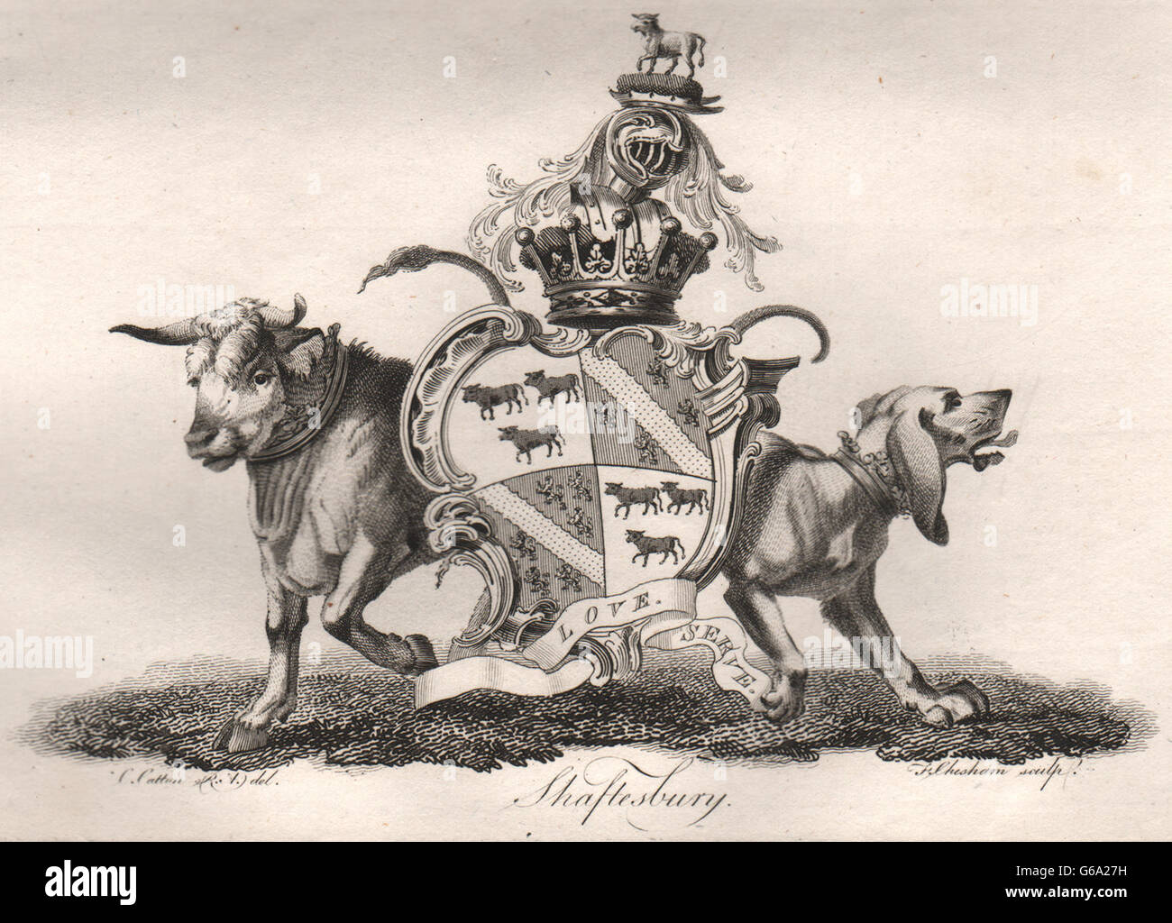 SHAFTESBURY: stemma. Araldica, antica stampa 1790 Foto Stock