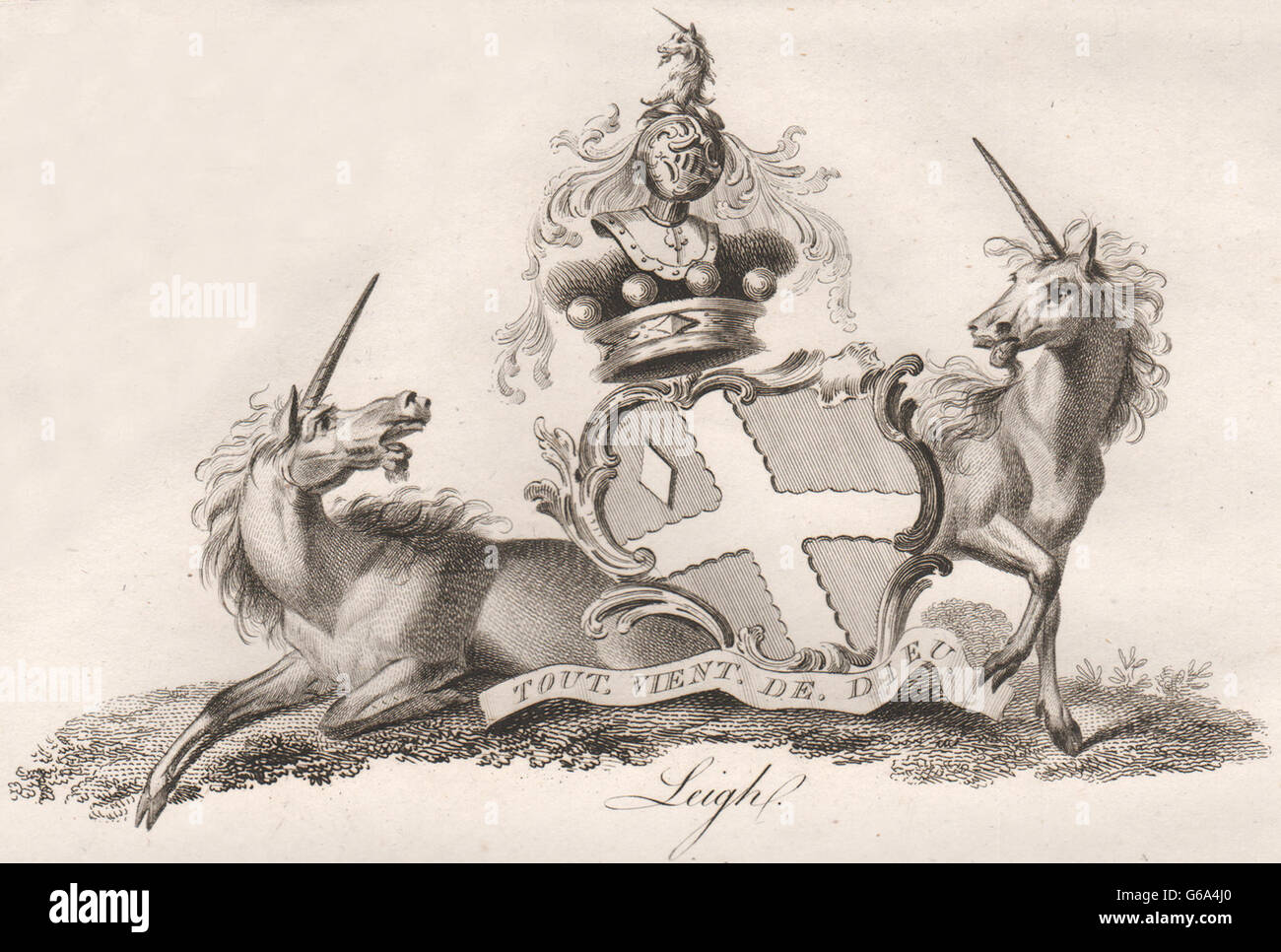 LEIGH: stemma. Araldica, antica stampa 1790 Foto Stock