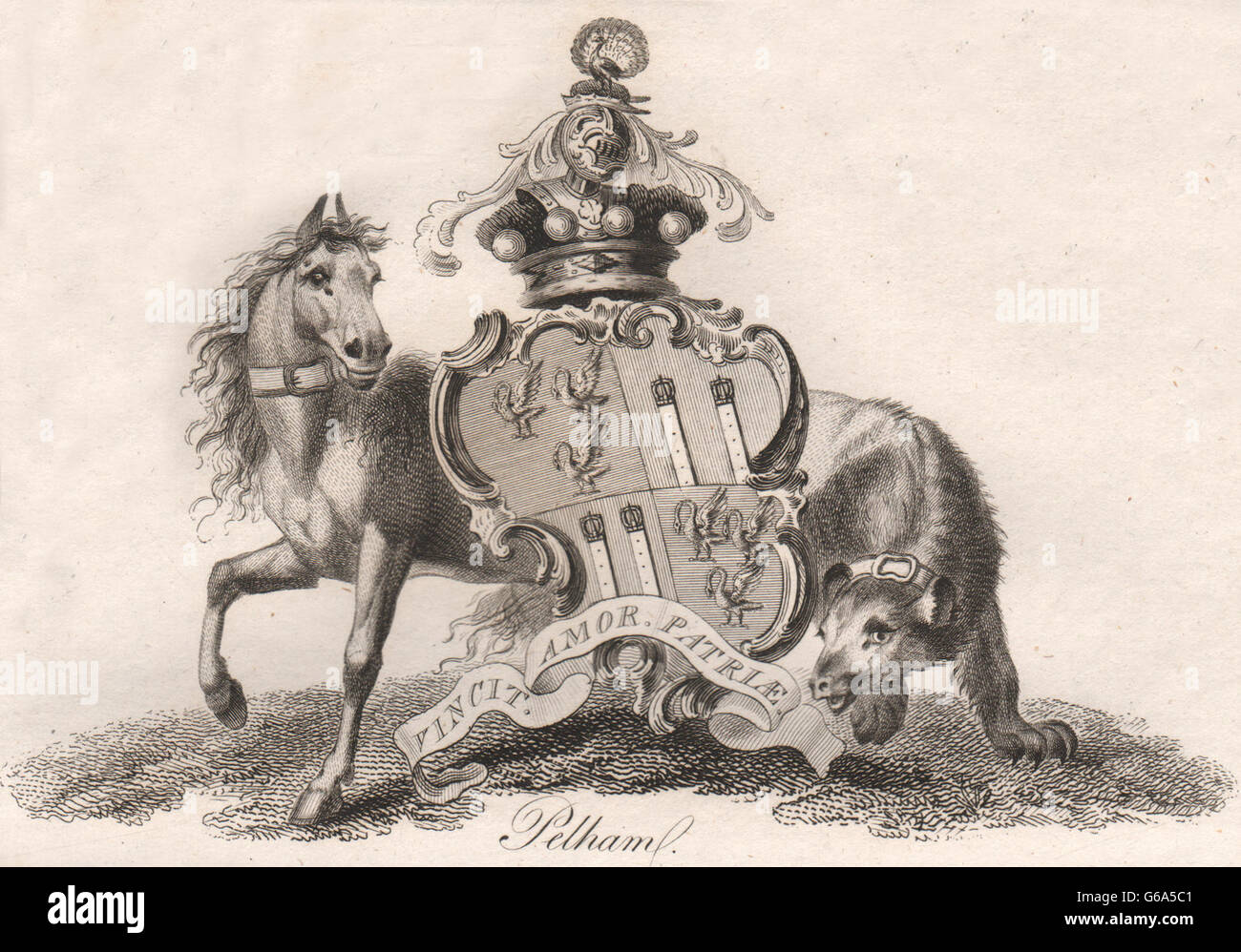 PELHAM: stemma. Araldica, antica stampa 1790 Foto Stock