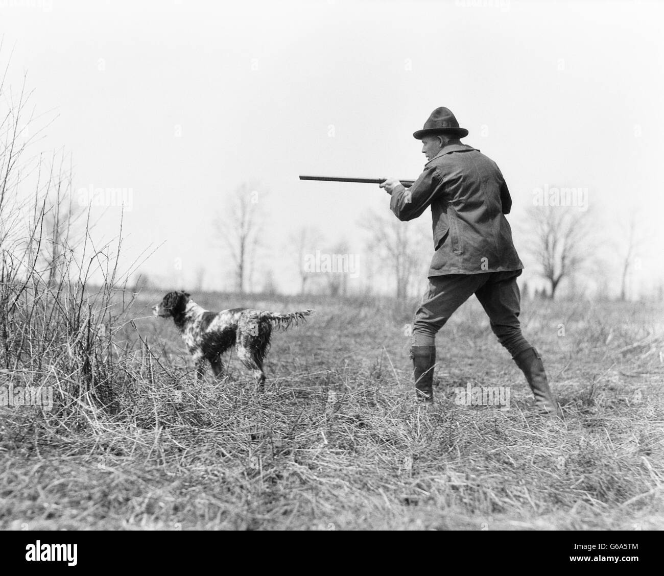 1920s uomo cacciatore con fucile IN CAMPO CON Setter inglese cane da caccia SUL PUNTO Foto Stock