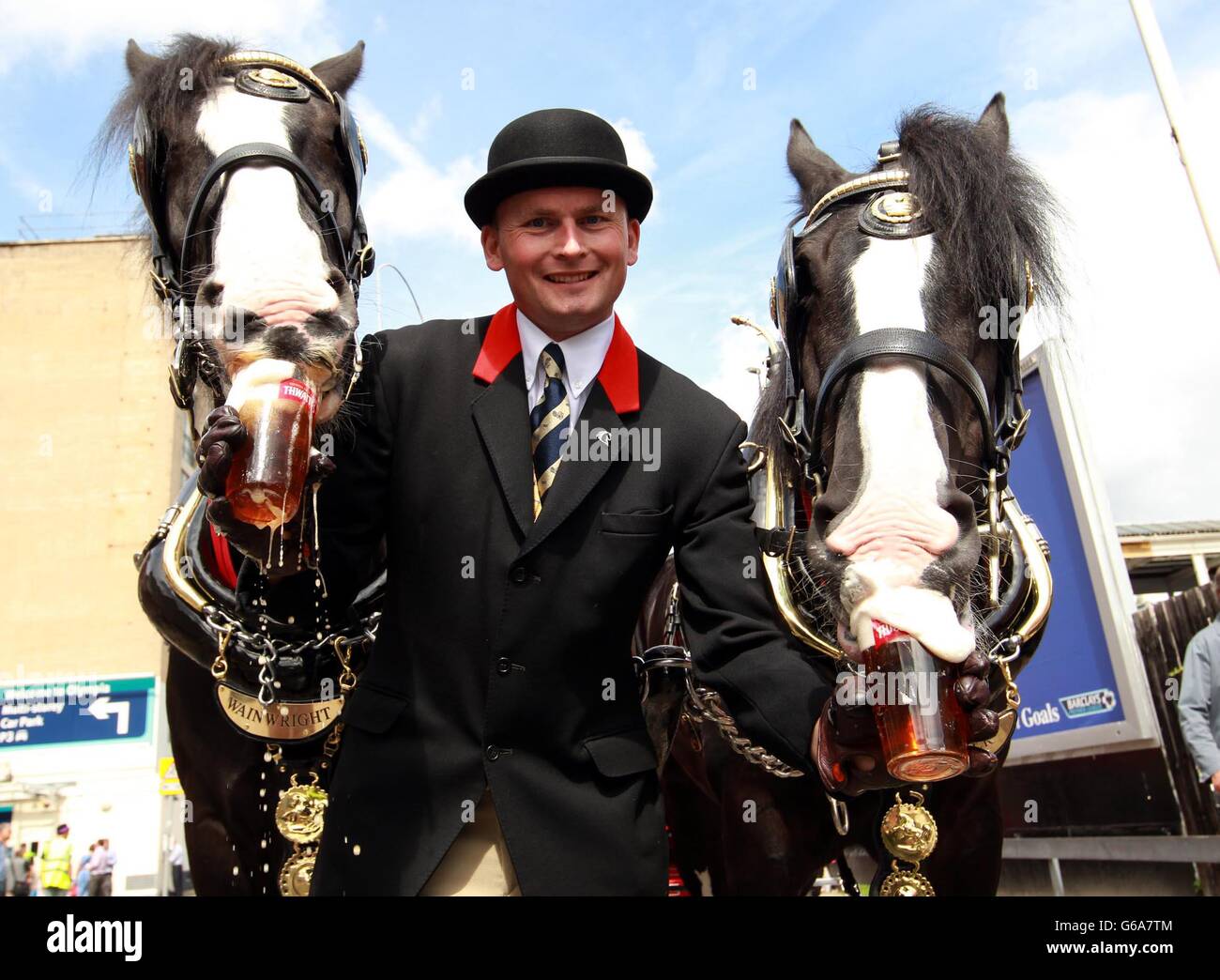 Horseman Jonathan Jones tratta (sinistra-destra) i cavalli Wainwright e Bomber Shire della Thwaites Brewery, Blackburn, durante l'annuale Great British Beer Festival organizzato dalla Campaign for Real Ale (CAMRA) che si tiene a Londra Olympia. Foto Stock