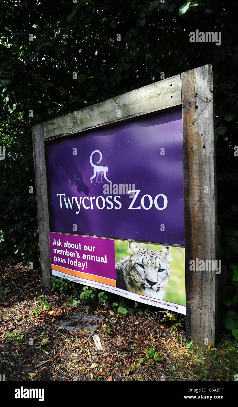 Lo Zoo Twycross chiusa da uno scimpanzé incidente Foto Stock