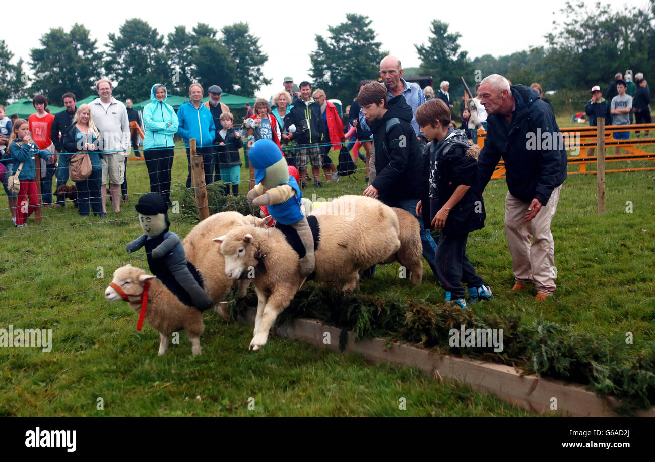 Corse di pecore al Philleigh Country Fare in Cornovaglia. Foto Stock