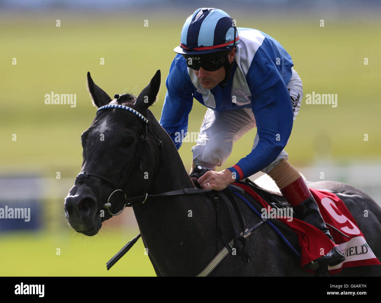 Horse Racing - Keeneland Phoenix Stakes giorno - Curragh Racecourse Foto Stock