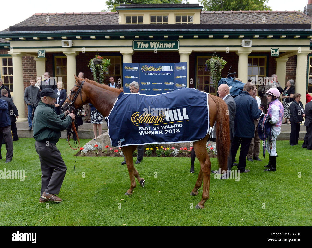 Baccarat nel recinto dei vincitori dopo la sua vittoria nel William Hill Great St. Wilfrid Stakes durante il William Hill Great St.Wilfrid handicap giorno al Ripon Racecourse, Ripon. PREMERE ASSOCIAZIONE foto. Data immagine: Sabato 17 agosto 2013. Guarda la storia di PA RACING Ripon. Il credito fotografico dovrebbe essere: John Giles/PA Wire Foto Stock