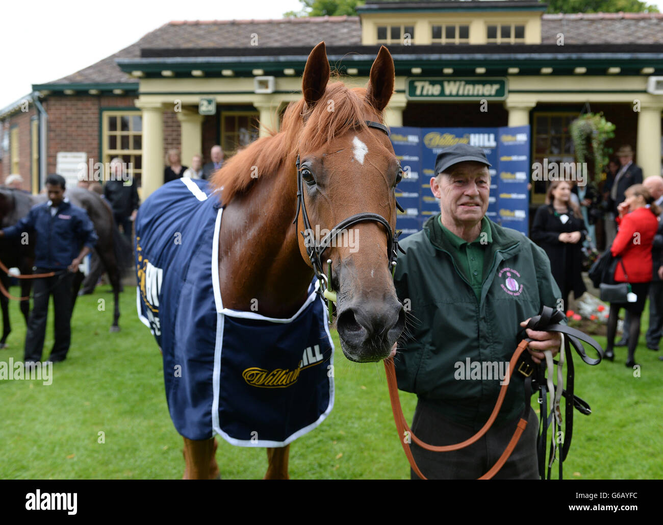 Baccarat dopo la sua vittoria nel William Hill Great St Wilfrids Stakes durante il William Hill Great St.Wilfrid handicap giorno presso Ripon Racecourse, Ripon. PREMERE ASSOCIAZIONE foto. Data immagine: Sabato 17 agosto 2013. Guarda la storia di PA RACING Ripon. Il credito fotografico dovrebbe essere: John Giles/PA Wire Foto Stock