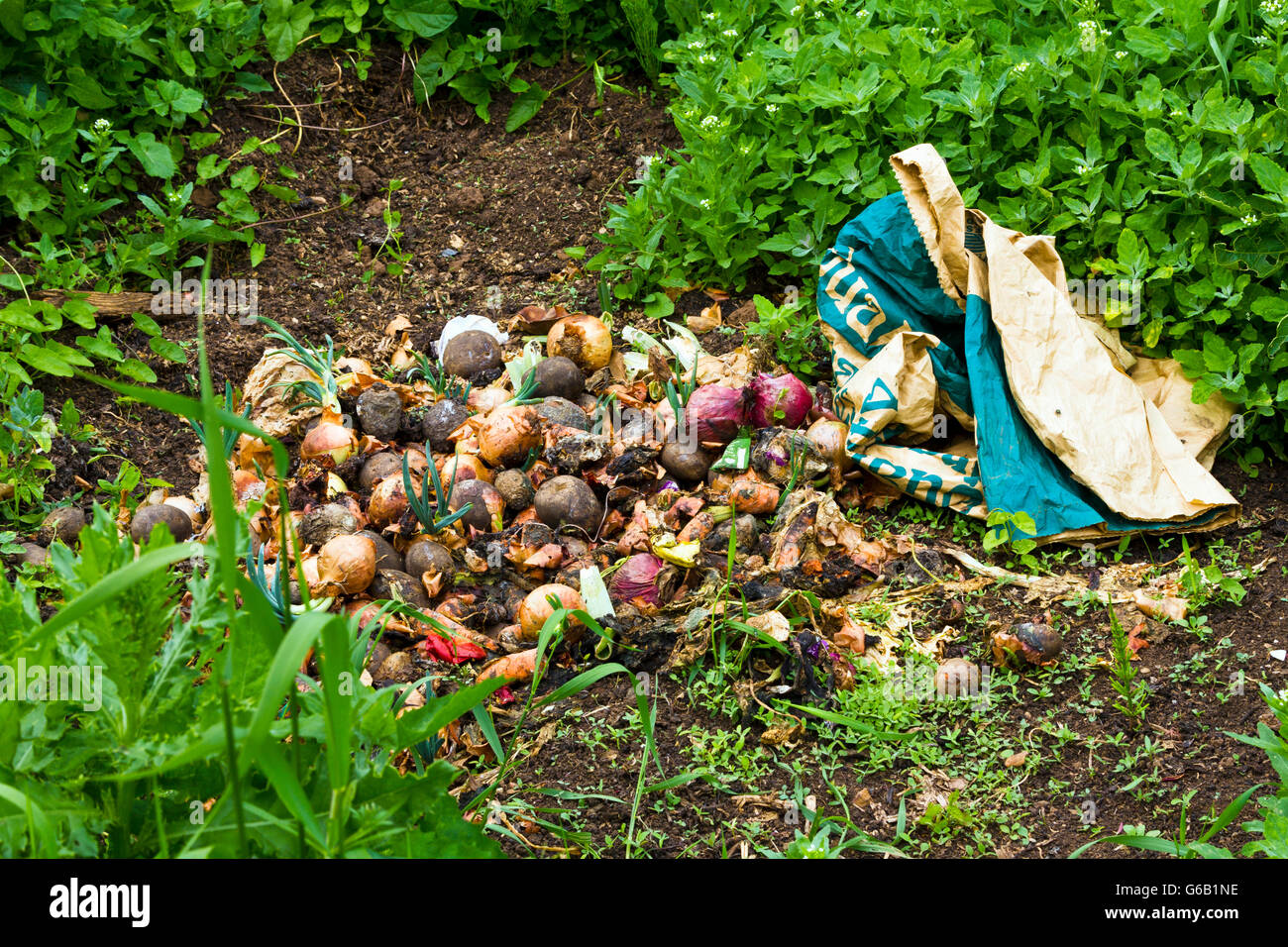 Il compostaggio dei rifiuti alimentari Foto Stock