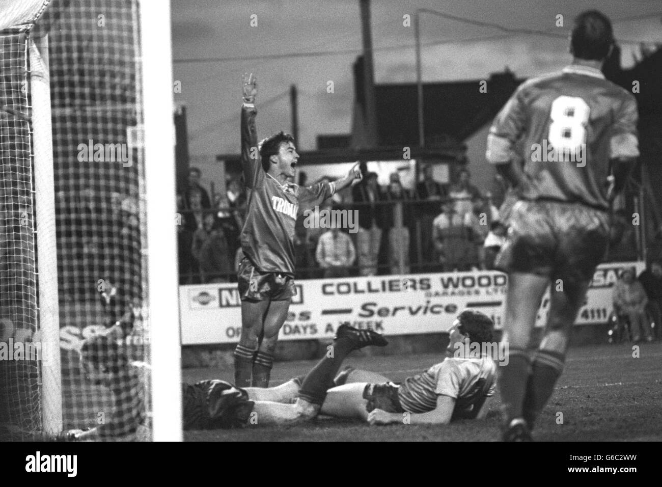 Dennis Wise di Wimbledon festeggia il raggiungimento di un gol, il terzo della sua squadra, con Martin Hodge, portiere di Sheffield Wednesday e il difensore Nigel Worthington (a destra) sul terreno durante la partita della Divisione uno a Plow Lane. Archive-pa221415-2b Foto Stock