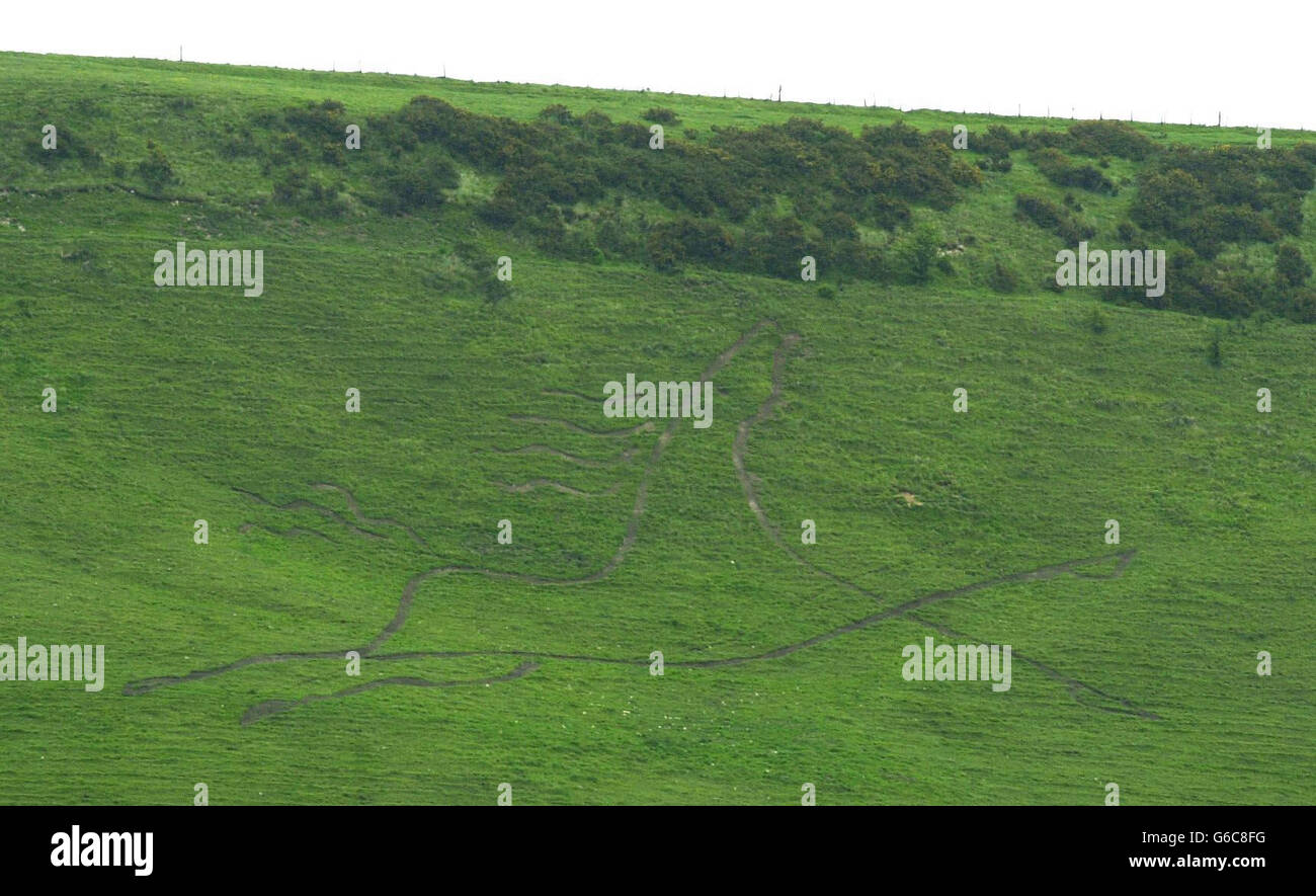 Un cavallo scolpito nella scarpata vicino a Peene in Kent - il White Horse Millennium Project che è al centro di una controversia dopo che è stato sostenuto che il governo ha agito illegalmente nel dare il via per l'intaglio in uno dei siti più importanti del paese della fauna selvatica. * l'accusa è contenuta in una lettera di comunicazione formale della Commissione europea alla quale il governo deve rispondere entro due mesi dalla presentazione di una denuncia formale da parte del gruppo di campagna "amici della Terra" sulla "violazione chiara" della legge europea sulla fauna selvatica. Foto Stock