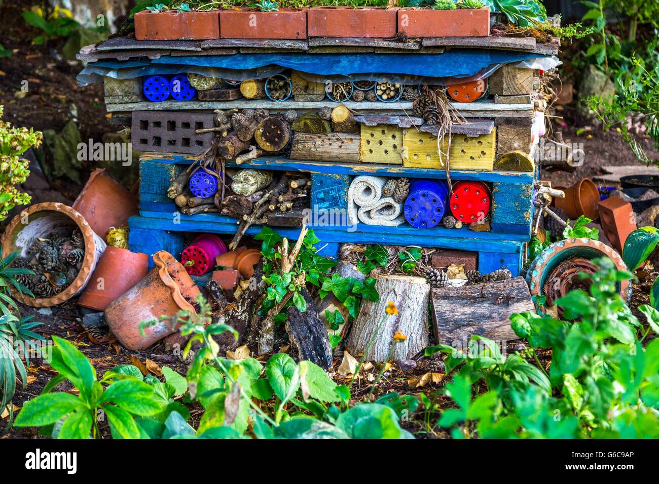 Una complessa struttura dispari realizzato da giardino strane voci in una vita selvatica habitat fore gli insetti e le api. Foto Stock