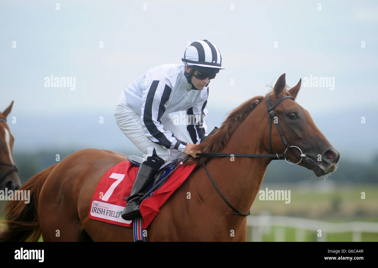 Jockey Wayne Lordan prima di andare a cavallo venire a Heel alla vittoria nel campo irlandese Curragh Stakes Race durante il Galileo Futurity Stakes Day presso l'ippodromo di Curragh, Co Kildare, Irlanda. PREMERE ASSOCIAZIONE foto. Data immagine: Sabato 24 agosto 2013. Guarda la storia della PA CHE CORRE Curragh. Il credito fotografico dovrebbe essere: Barry Cronin/PA Wire Foto Stock