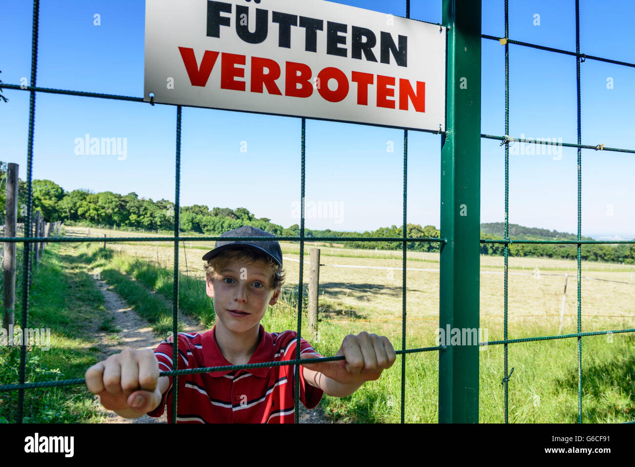 Segno ' Alimentazione vietate' a preservare, boy, Guntramsdorf, Austria, Niederösterreich, Bassa Austria, Wienerwald, boschi di Vienna Foto Stock