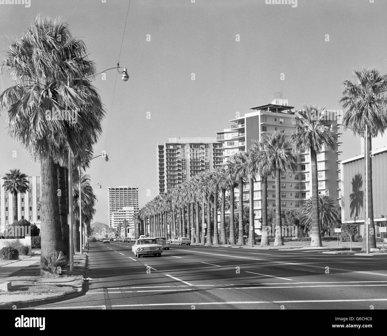 Anni sessanta filari di palme CENTRAL AVENUE PHOENIX AZ USA Foto Stock