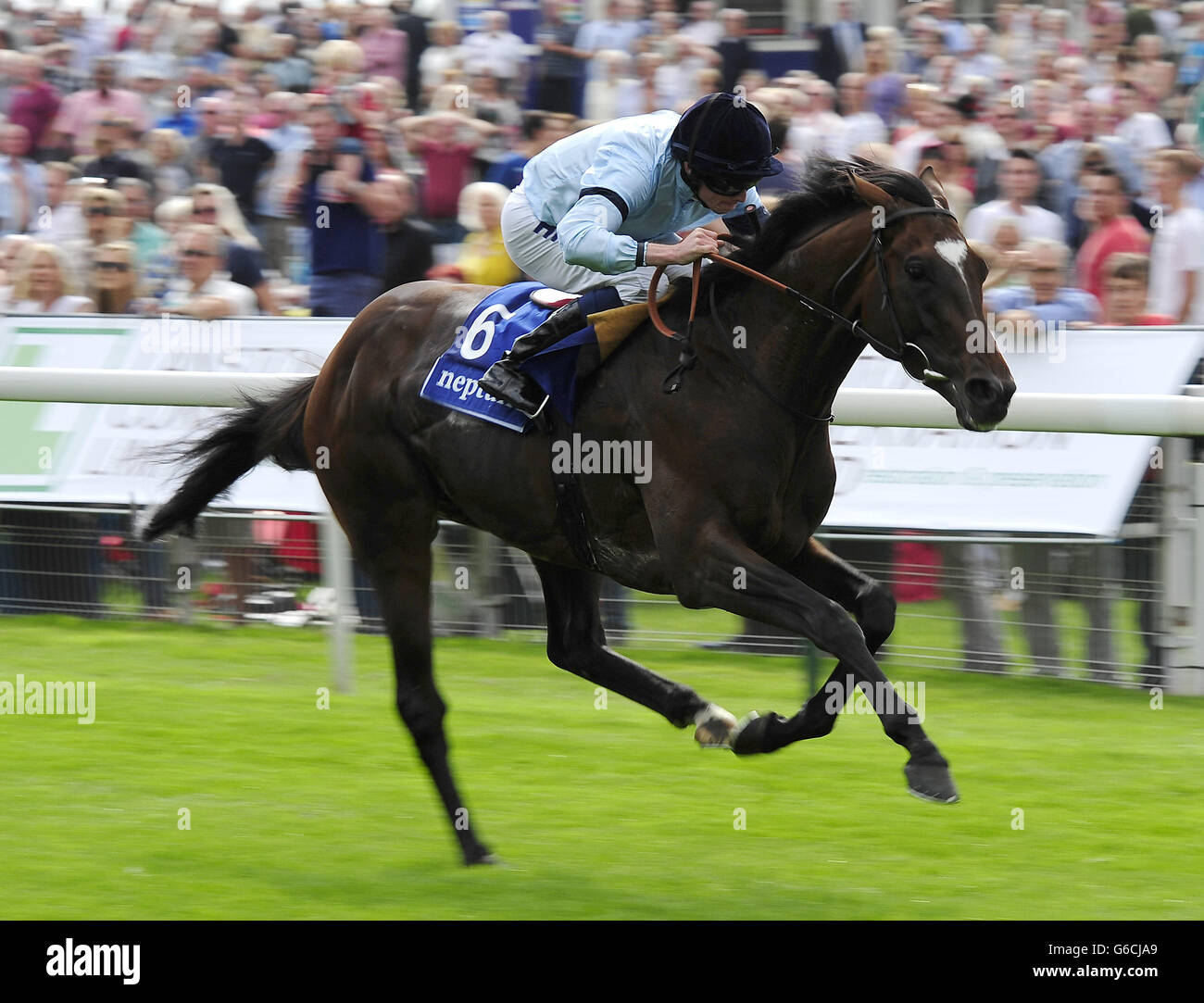 Horse Racing - 2013 Yorkshire Ebor Festival - Juddmonte Giornata Internazionale - York Racecourse Foto Stock