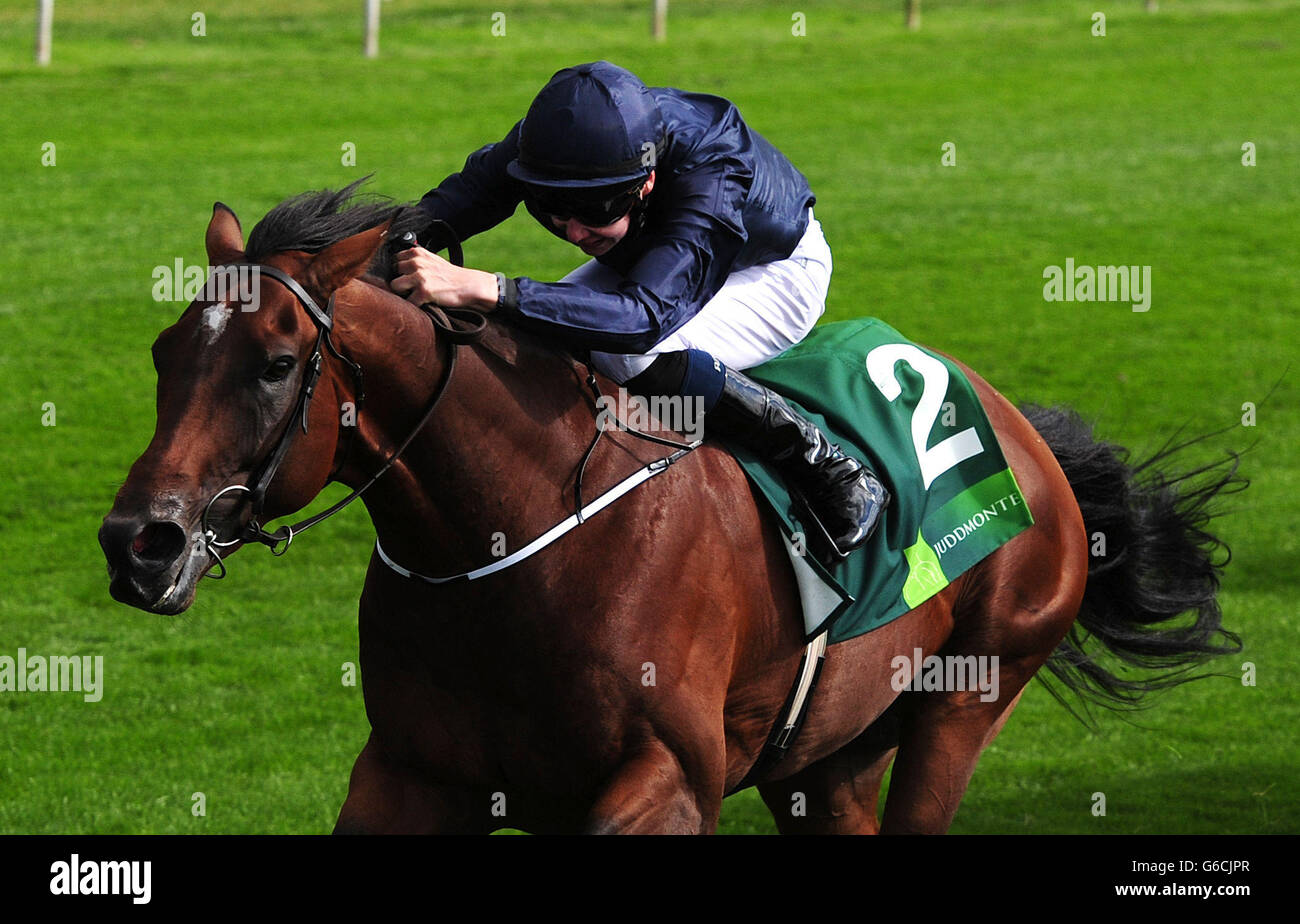 Dichiarazione di guerra guidata da Joseph o'Brien vince la Juddmonte International Stakes durante il giorno uno del Yorkshire 2013 Ebor Festival presso l'Ippodromo di York, York. Foto Stock