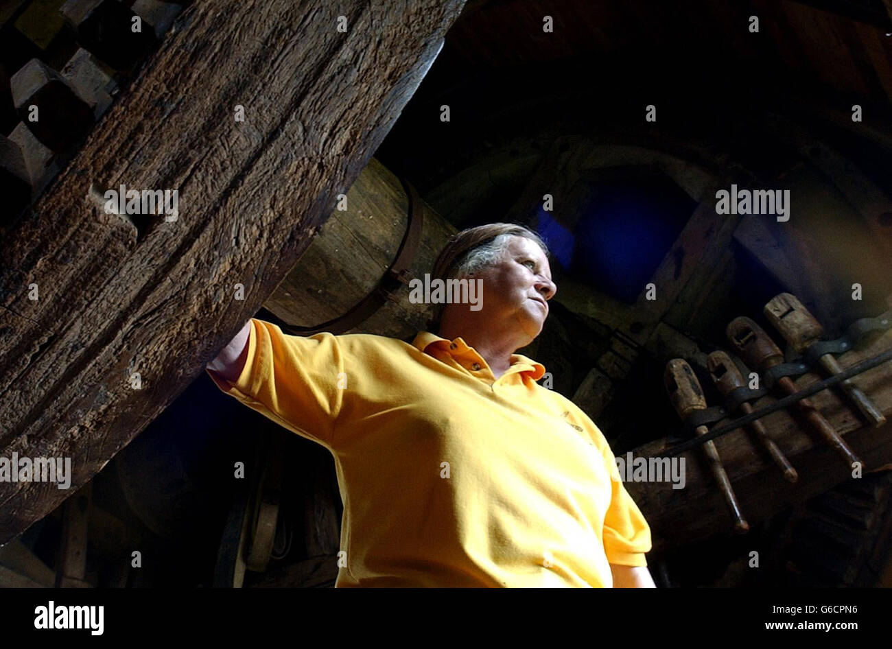 La proprietaria, Sheila Thomas, si trova sul "piano tonico" di Outwood Windmill, Surrey, il più antico mulino a vento in funzione in Gran Bretagna, dopo aver annunciato che lo stava mettendo sul mercato. * Costruito nel 1665, l'edificio storico inglese di grado i, che produce farina per la vendita locale, si prevede di recuperare 600,000. La vedova Sheila, 61 anni, ha vissuto e lavorato al mulino per 43 anni, ma ha deciso che è tempo di andare avanti, dicendo che era tempo di lasciare che una persona più giovane assuma il controllo. Foto Stock