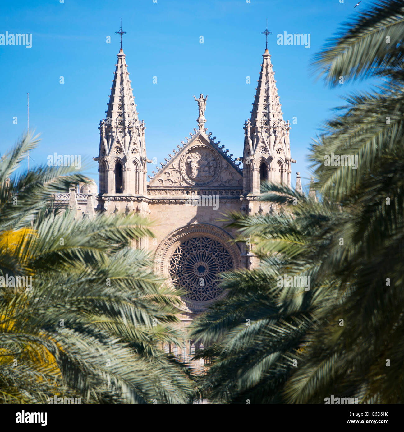 Vista sulla piazza del rosone e guglie sulla Cattedrale di Palma di Maiorca. Foto Stock