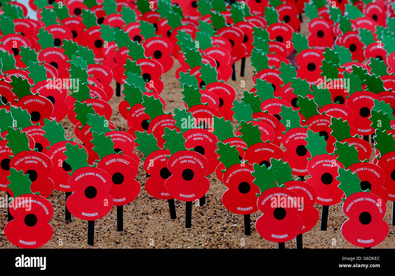 Papaveri al nuovo memoriale Never Forget svelato dalla Legione Britannica al National Memorial Arboretum, Alrewas, Staffordshire. Foto Stock