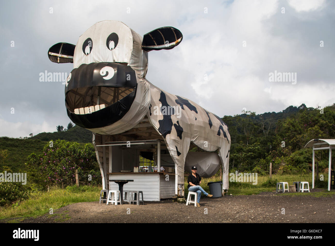 In Colombia rurale, una donna si siede al di fuori del suo stand alimentari che è fatta di un gigante di mucca. Foto Stock