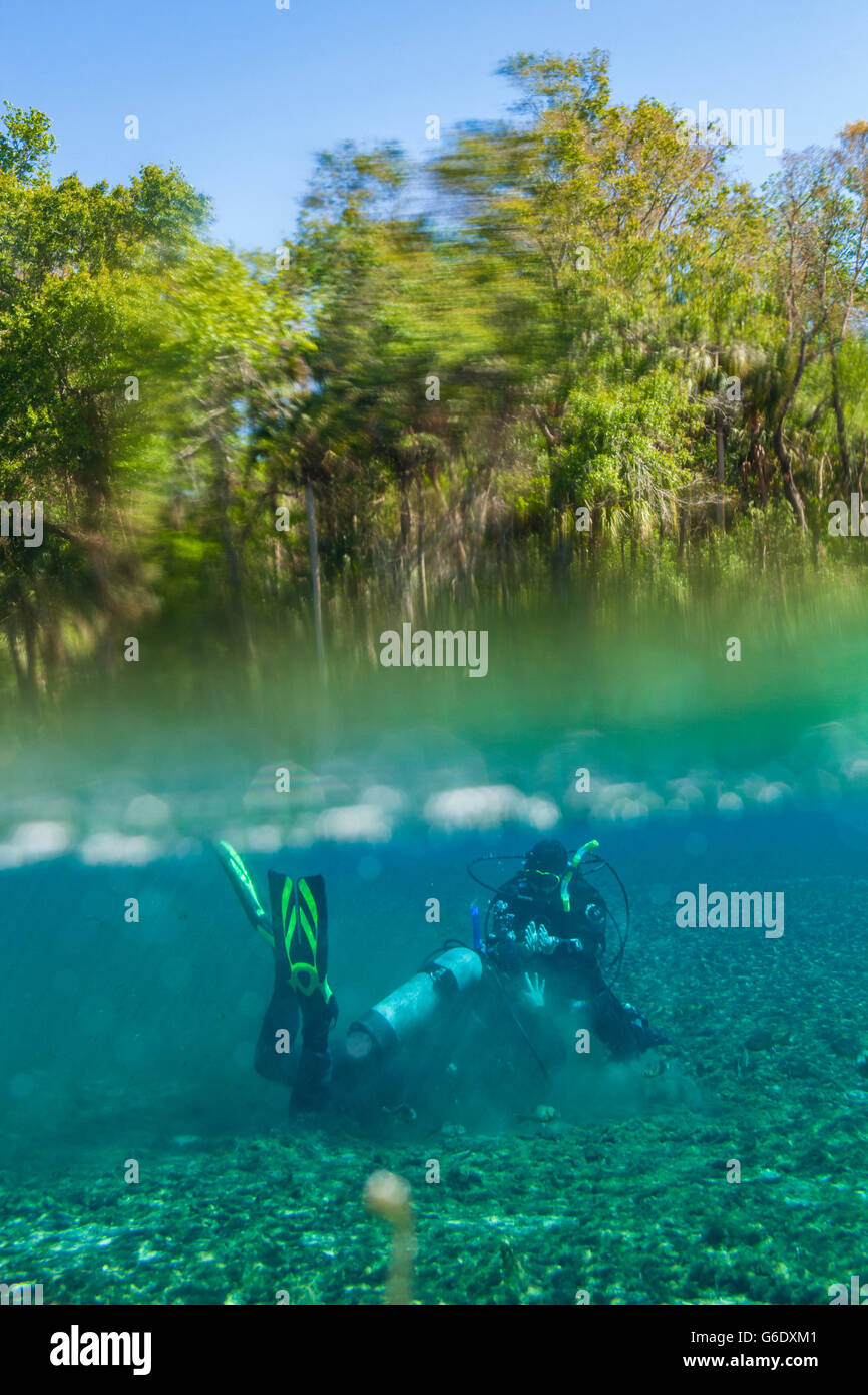 Un istruttore di immersioni insegna loro studenti nell acqua calda primavera a molla Alexander Recreation Area, Florida. Foto Stock