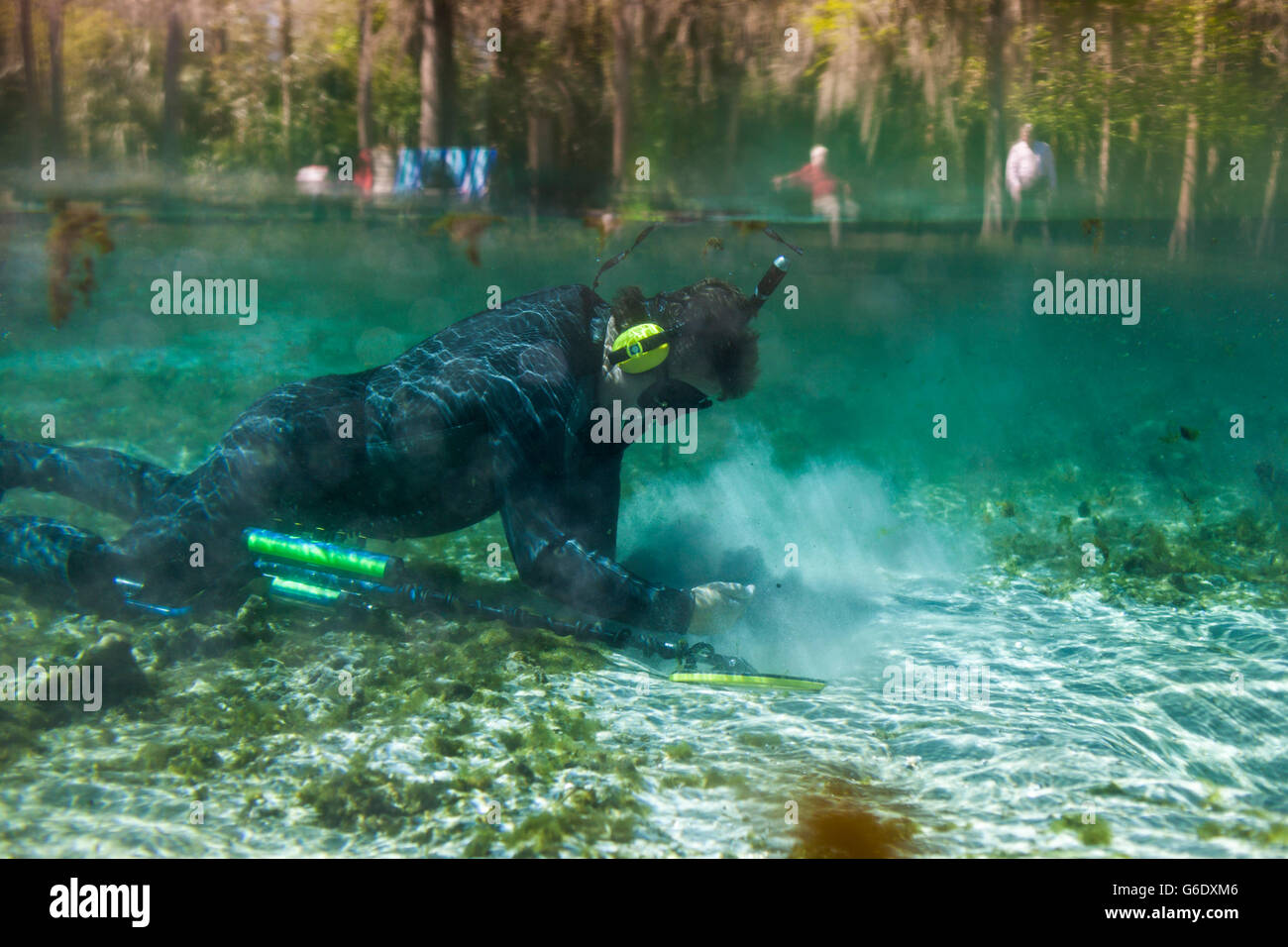 Un uomo rimuove sfridi di metallo con un rivelatore di metalli dalla calda primavera a molla Alexander Recreation Area, Florida. Foto Stock Un uomo rimuove sfridi di metallo con un rivelatore di metalli dalla calda primavera a molla Alexander Recreation Area, Florida. Foto Stock