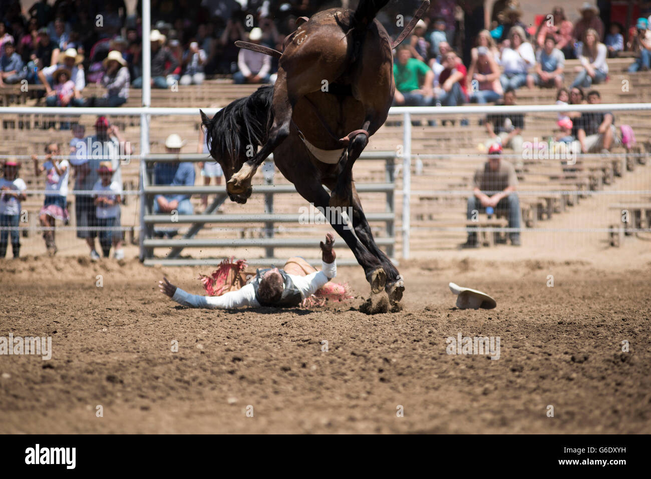 Un cowboy urta il suolo dopo essere contrastato dal suo cavallo al Lions Woodlake Rodeo rodeo in Woodlake, California, il 10 maggio 2015. Foto Stock