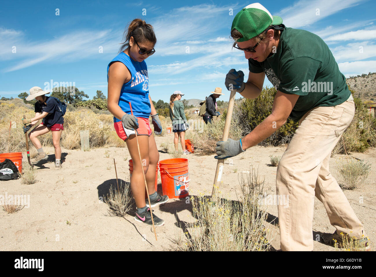 Volontari partecipano in una pulizia evento ospitato dalla vita all'aperto, Yamaha e la California del Sud montagne Foundation presso il Cactus OHV piatto area di staging in San Bernardino National Forest Sabato, Sett. 26, 2015. Foto Stock