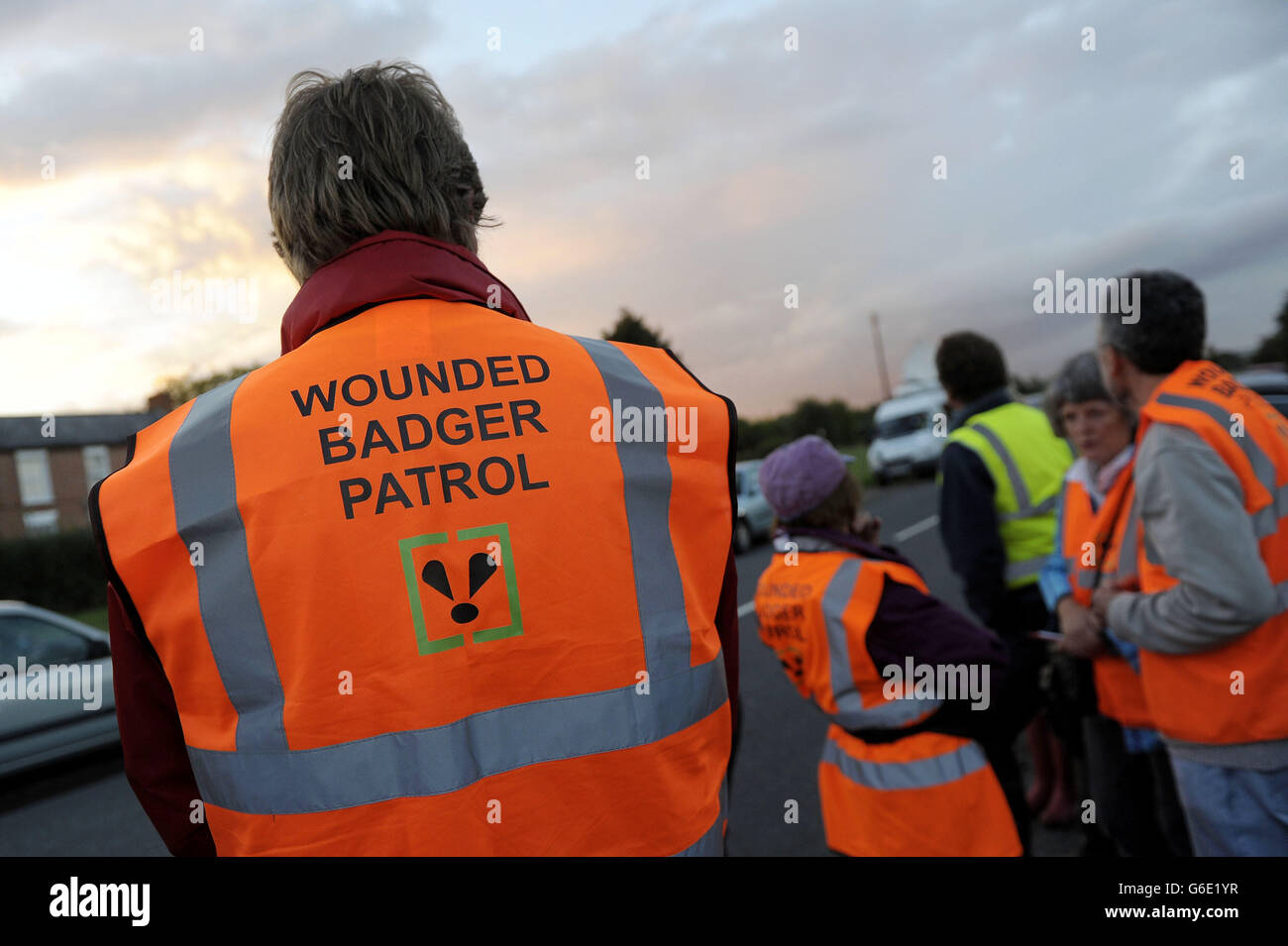 Badger cul. Membri di un ferito Badger Patrol in Gloucestershire vicino Eldersfield. Foto Stock