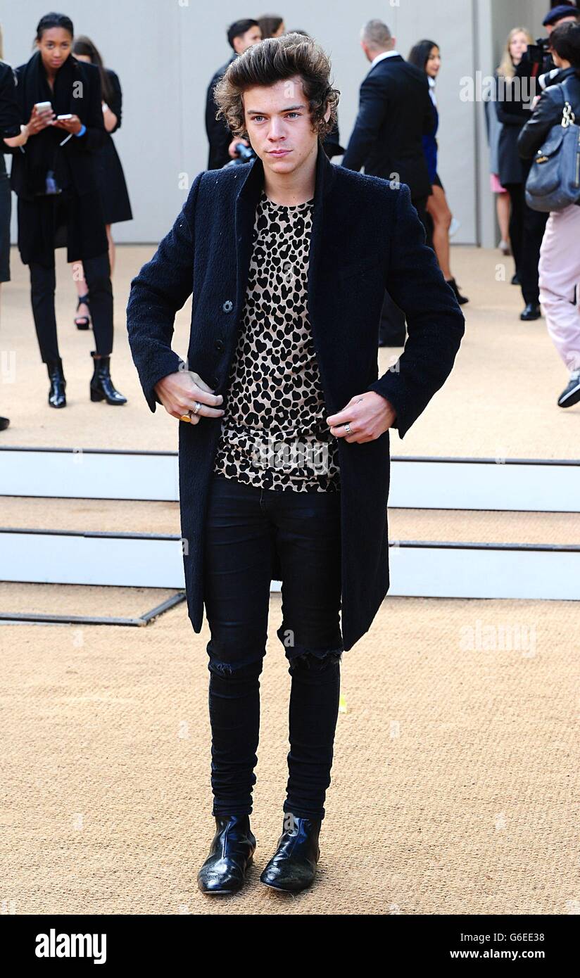 harry styles burberry